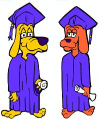 Grad Dogs